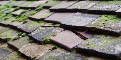 Sandfield Park roof repair costs